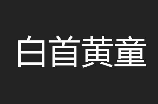 白首黄童