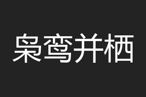 枭鸾并栖