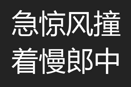 急惊风撞着慢郎中