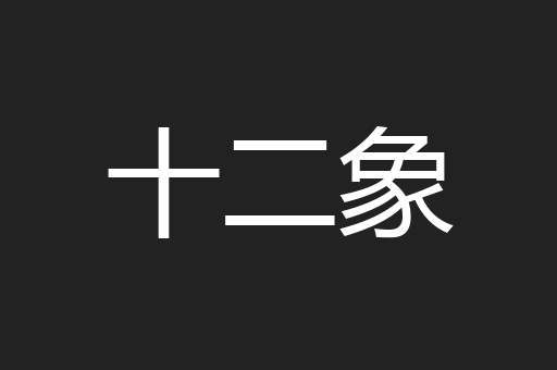 十二象