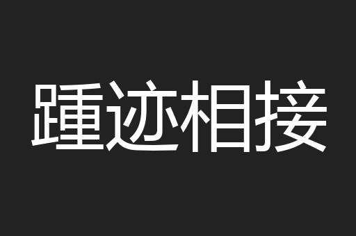 踵迹相接