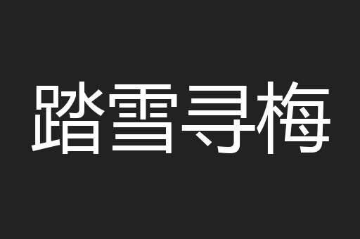 踏雪寻梅