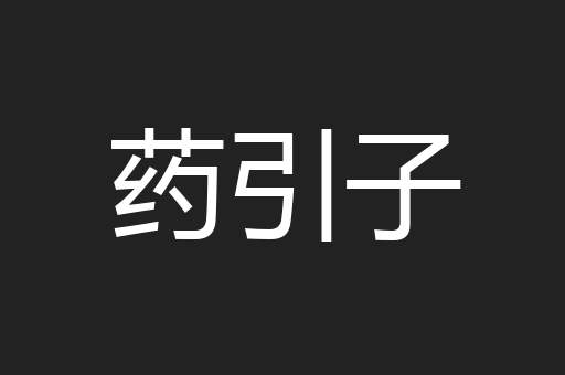 药引子