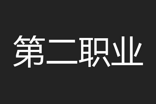 第二职业