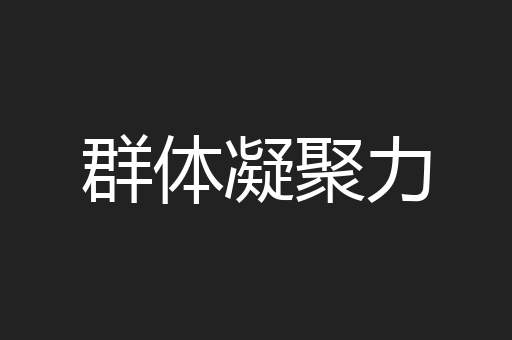 群体凝聚力