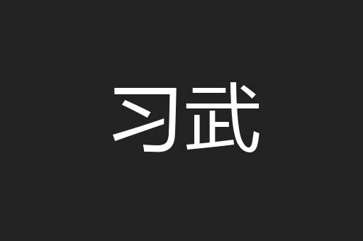 习武