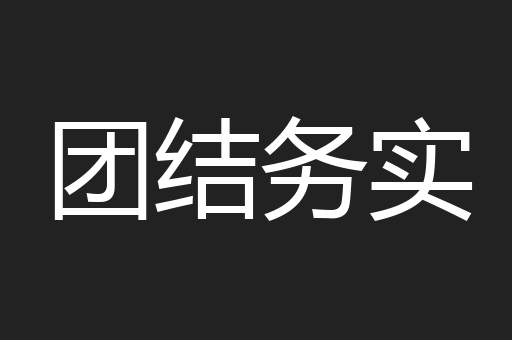 团结务实