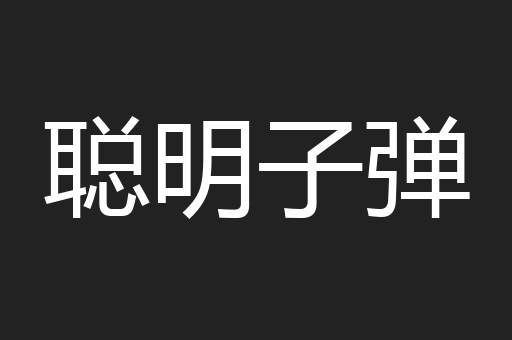 聪明子弹