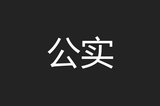 公实