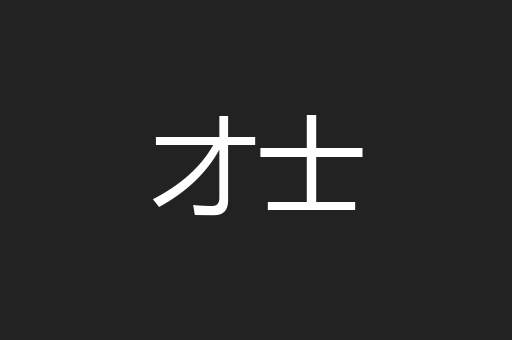 才士