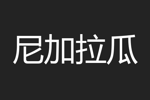 尼加拉瓜
