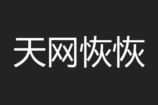 天网恢恢