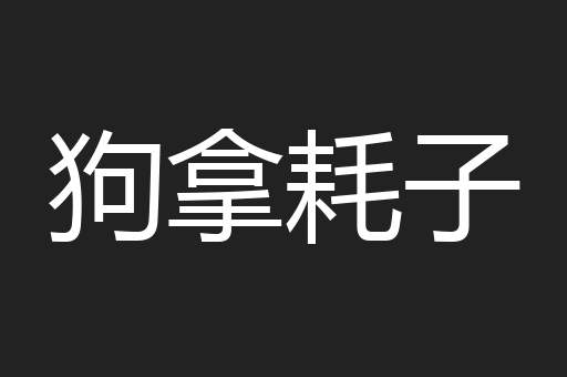 狗拿耗子