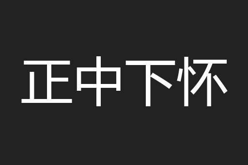 正中下怀