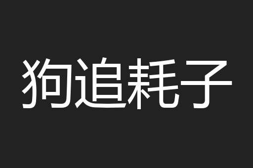 狗追耗子