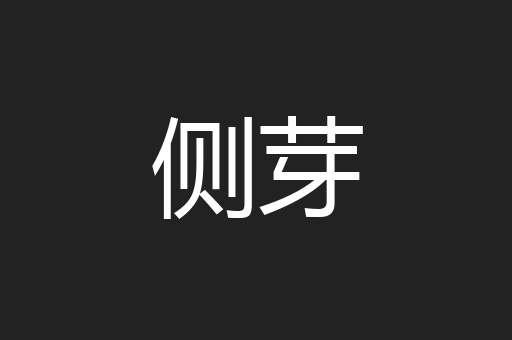 侧芽