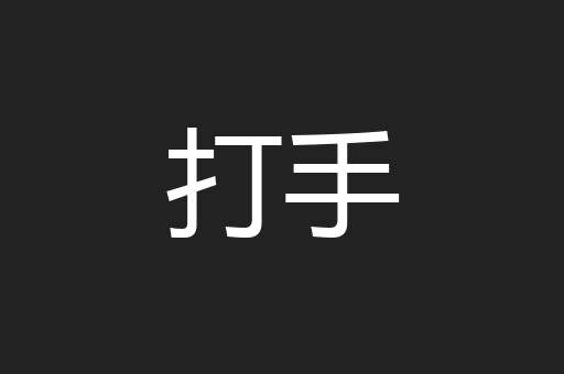 打手