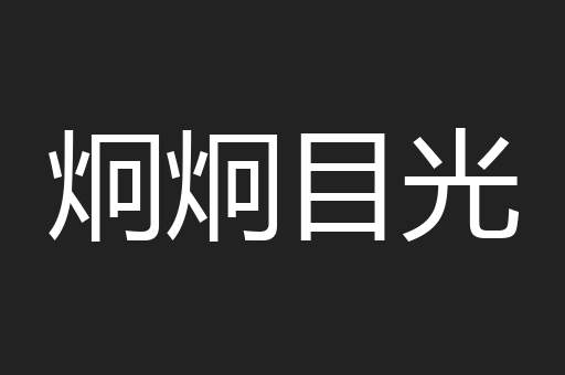 炯炯目光