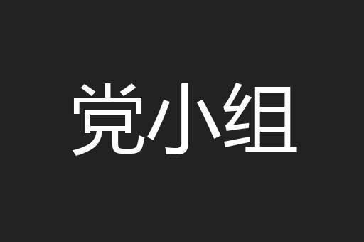 党小组