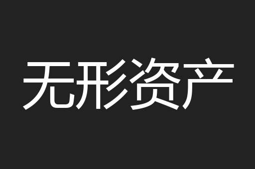 无形资产