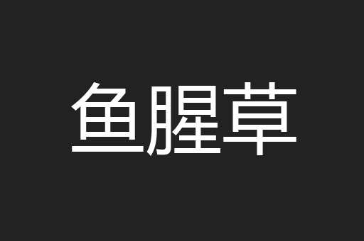 鱼腥草
