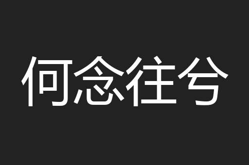 何念往兮