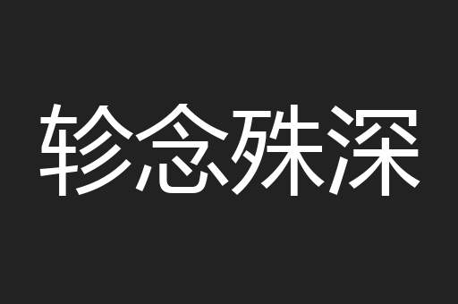 轸念殊深