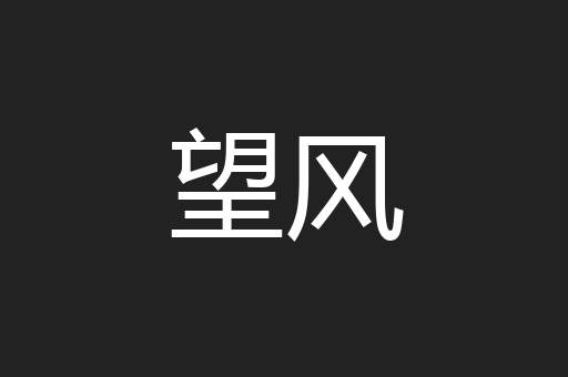 望风