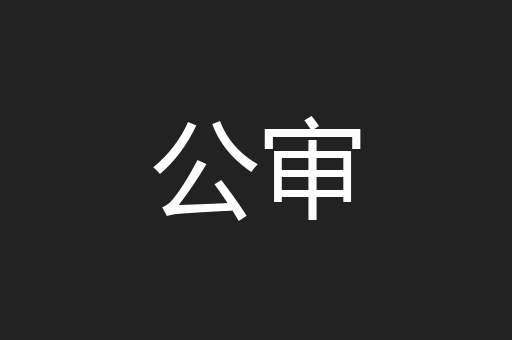 公审