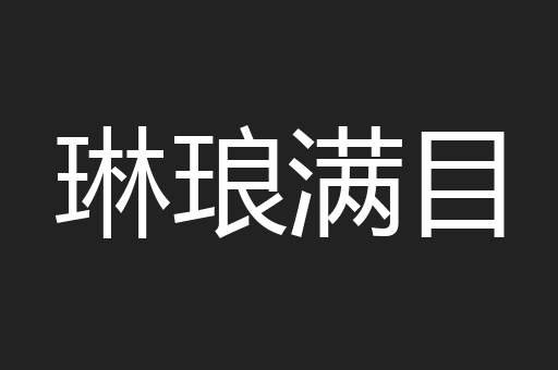 琳琅满目