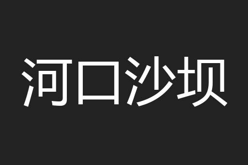 河口沙坝
