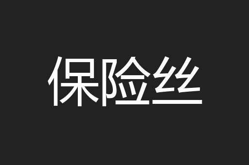 保险丝