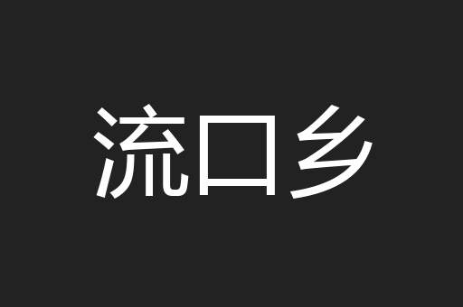 流口乡