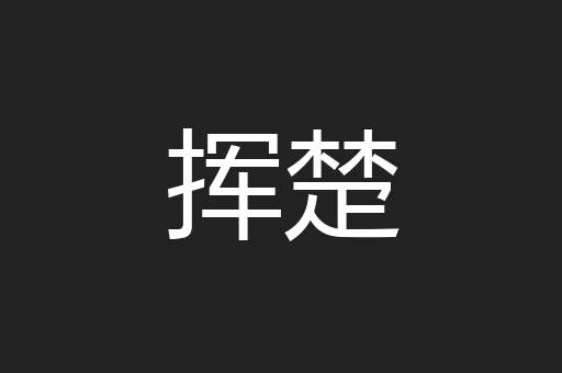 挥楚