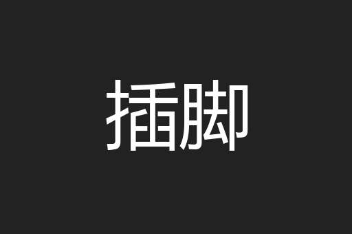 插脚