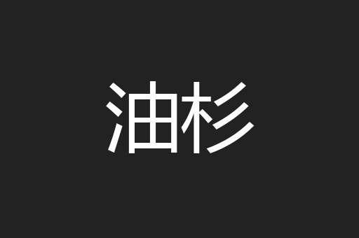 油杉