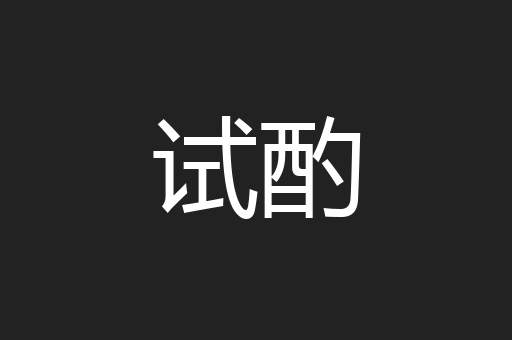 试酌
