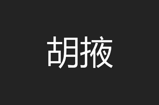 胡掖