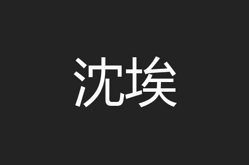 沈埃