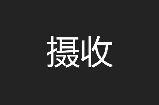 摄收