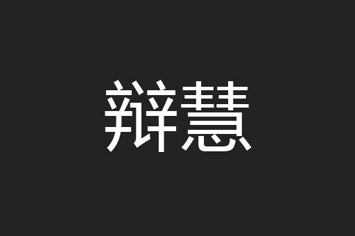 辩慧