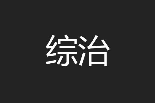 综治