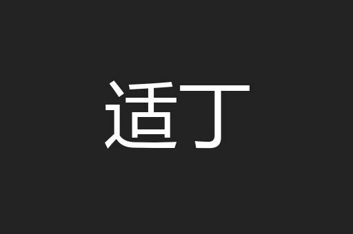 适丁