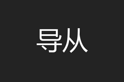 导从