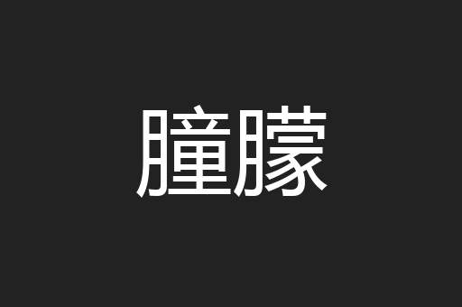 朣朦