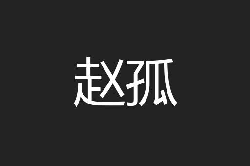 赵孤