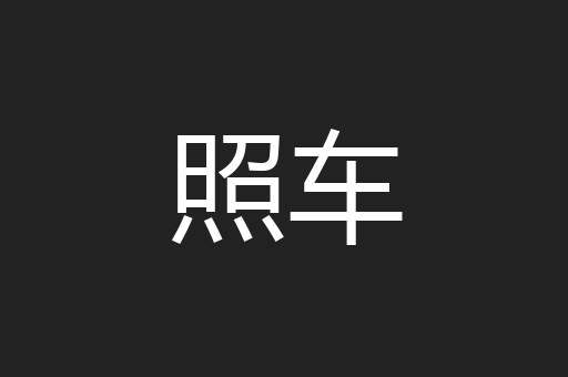 照车