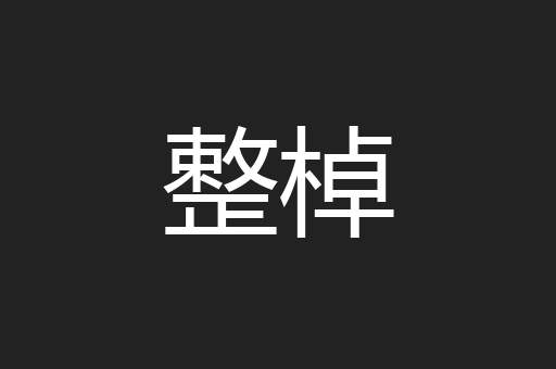 整棹