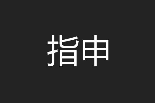 指申