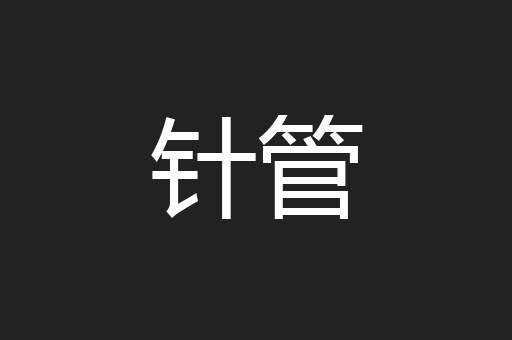针管